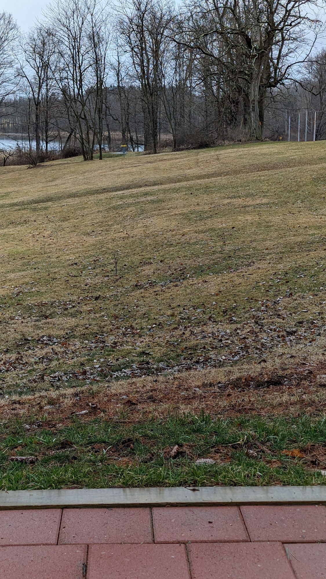 Hole 6