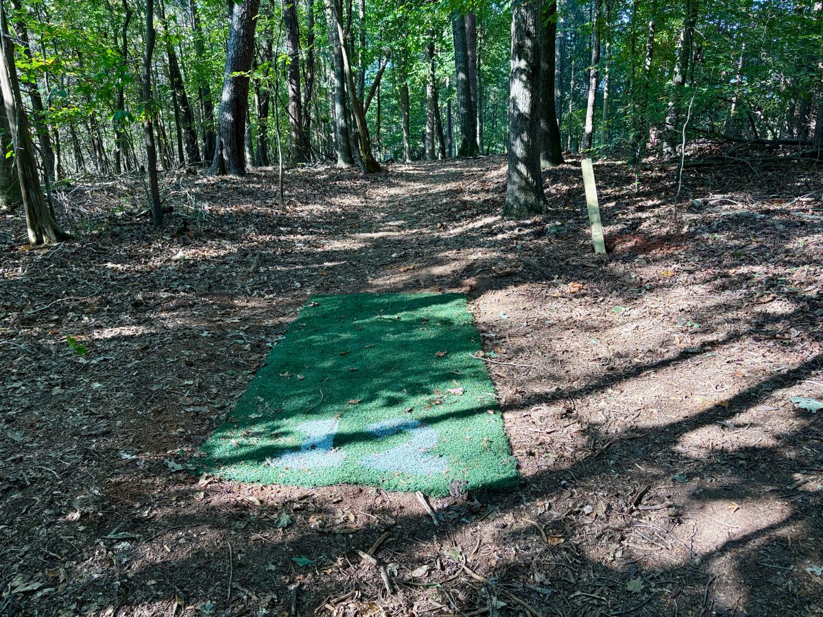 Hole 12 tee