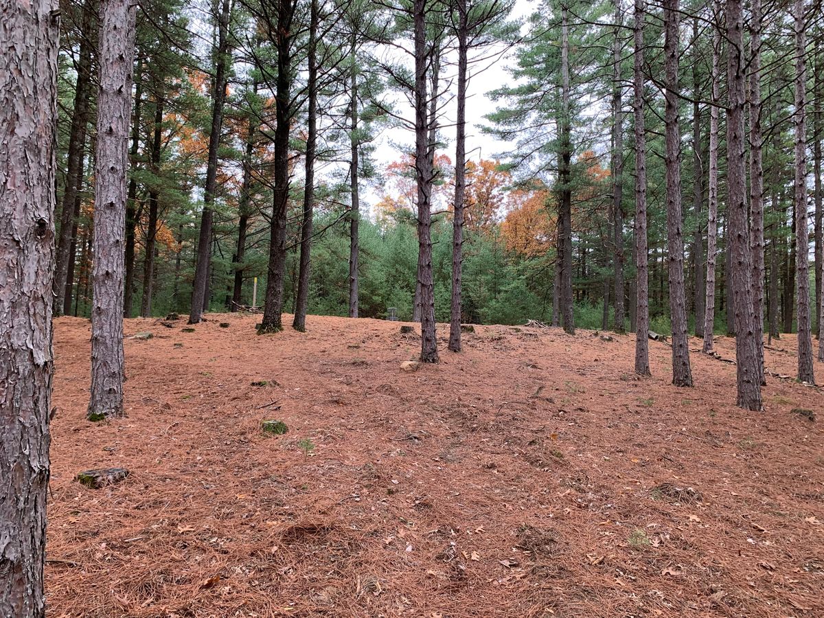 Hole 7 fairway