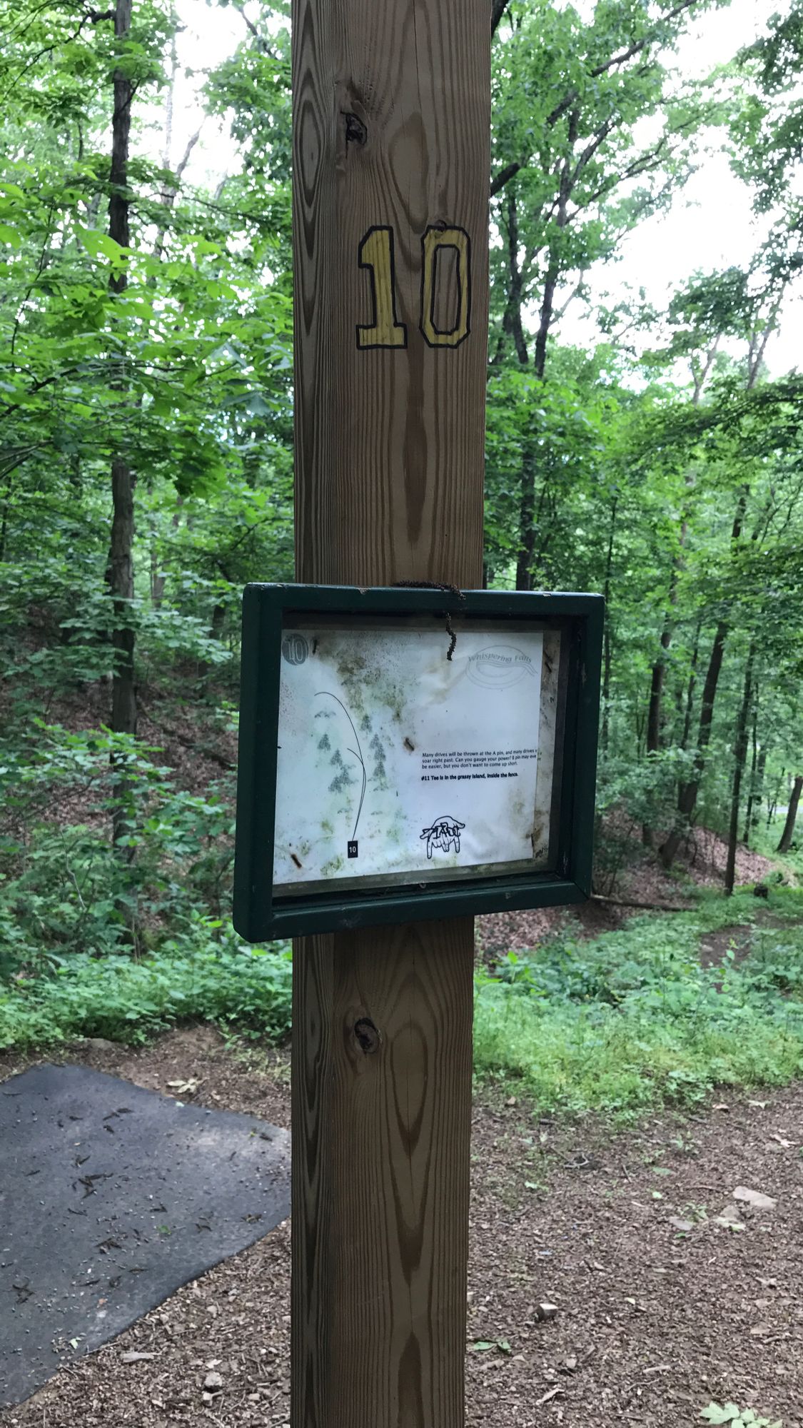 Hole 10