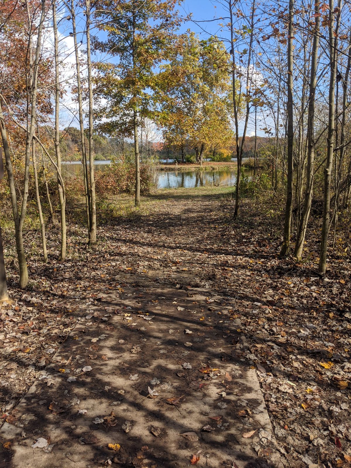Hole 10 long tee pad