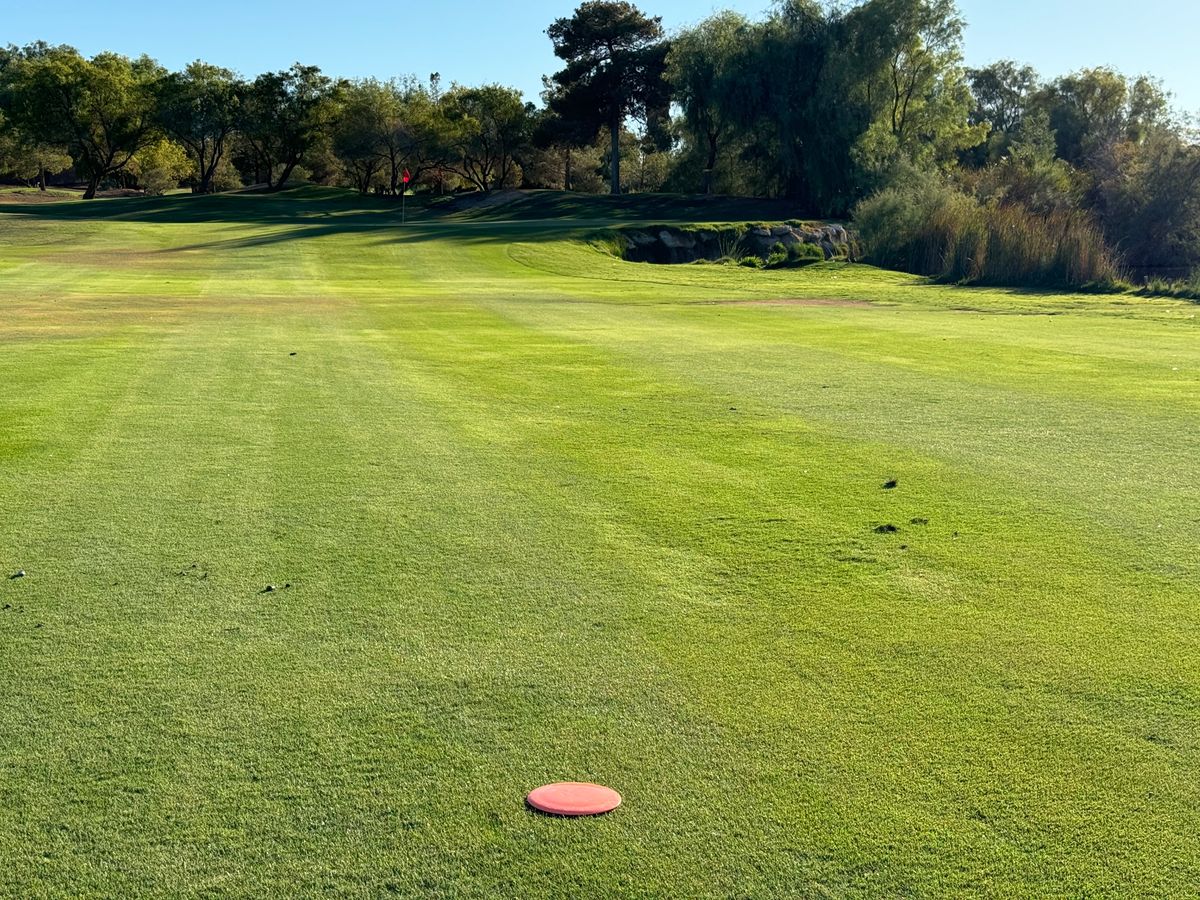 Immaculate fairways