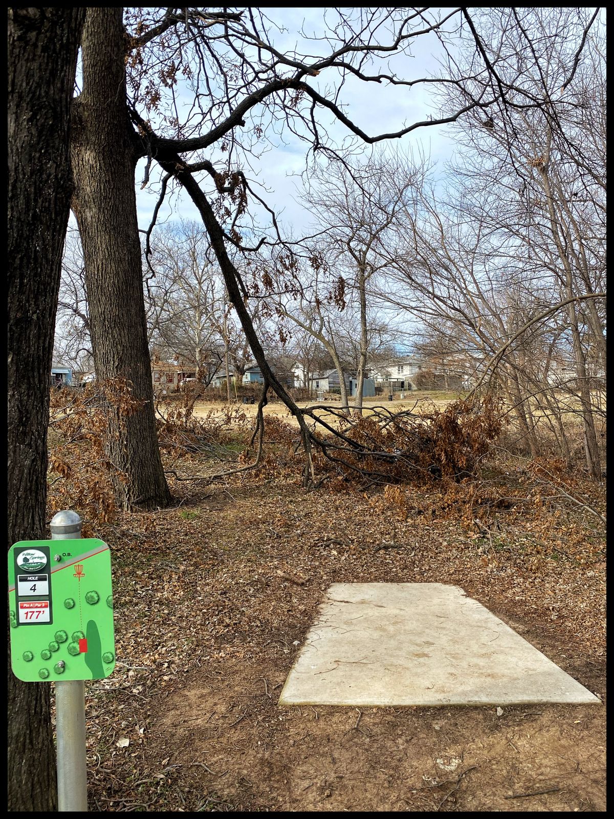 #4 Tee throwing northwest- and over limbs