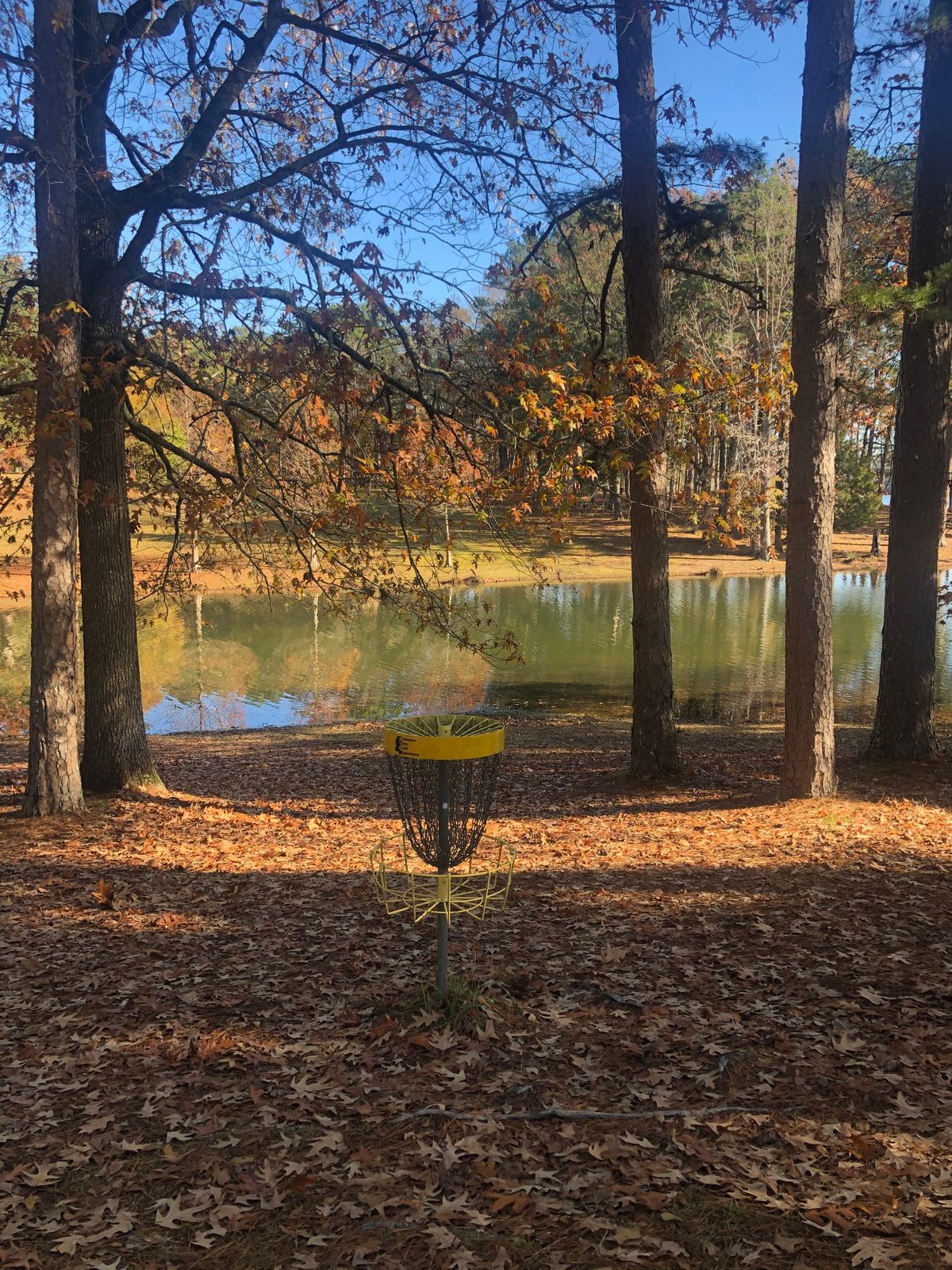 Hole 10 basket