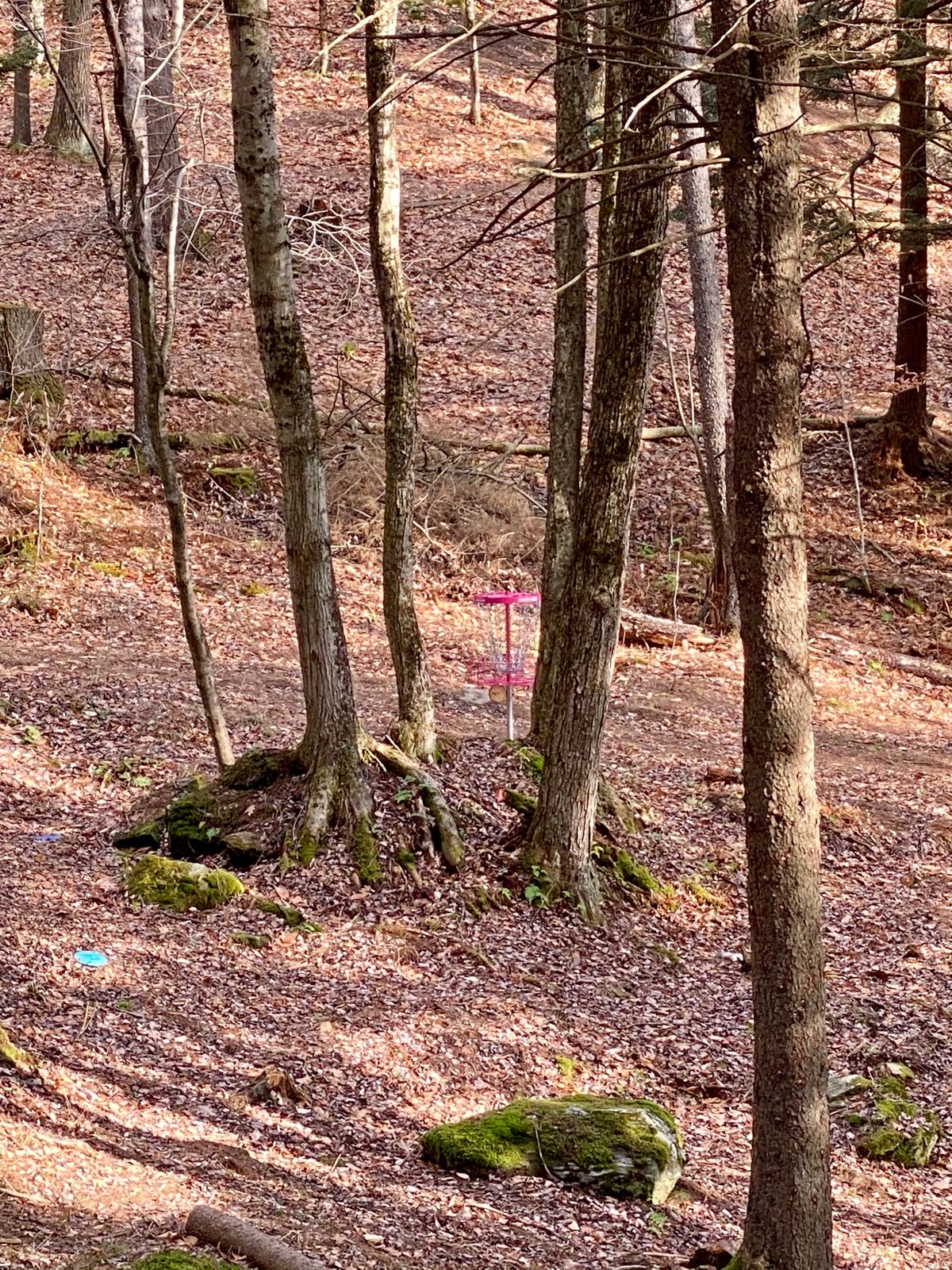 Hole 3 - accuracy counts on this course!