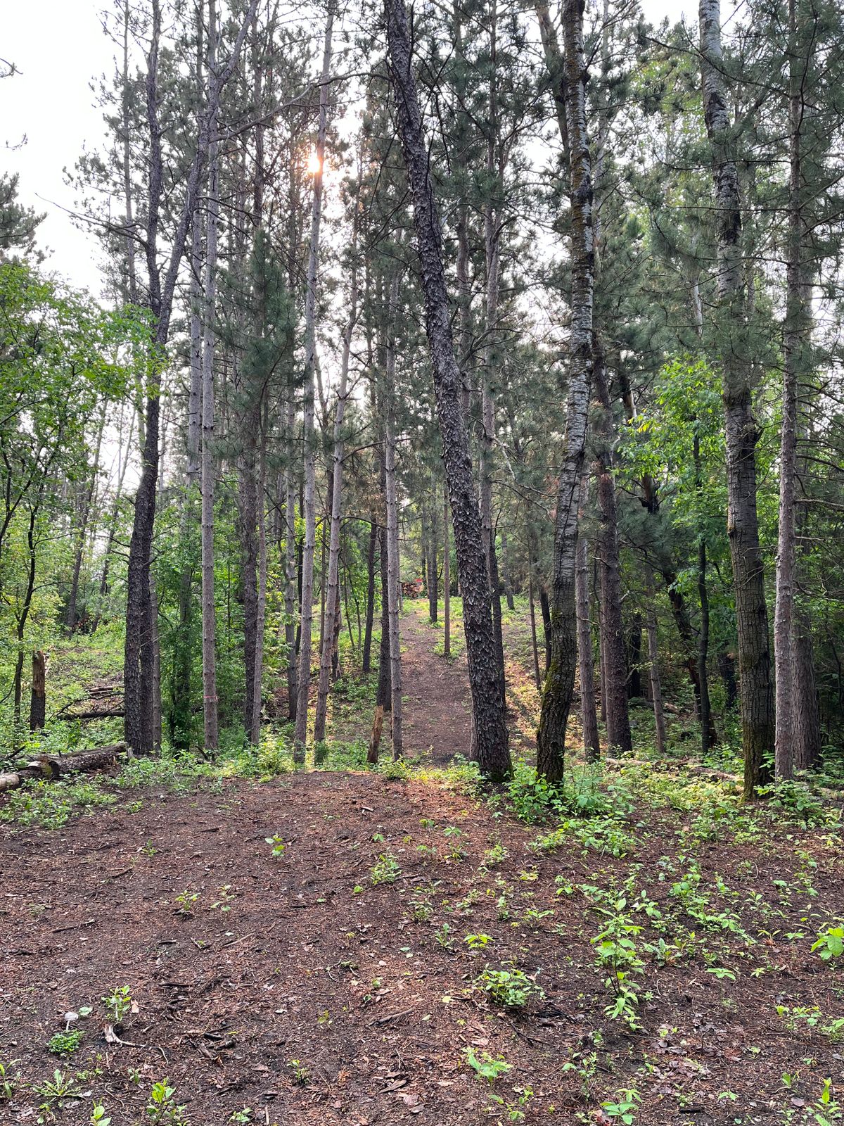 2’s fairway