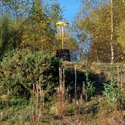 Hole 2 elevated basket on whisky barrel