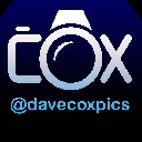 User avatar image
