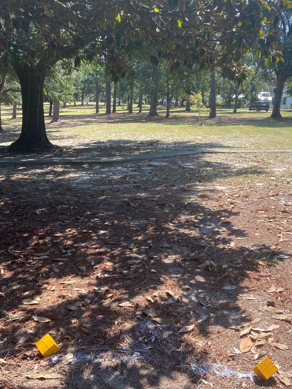 Hole 5