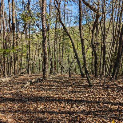 Hole 5 from tee