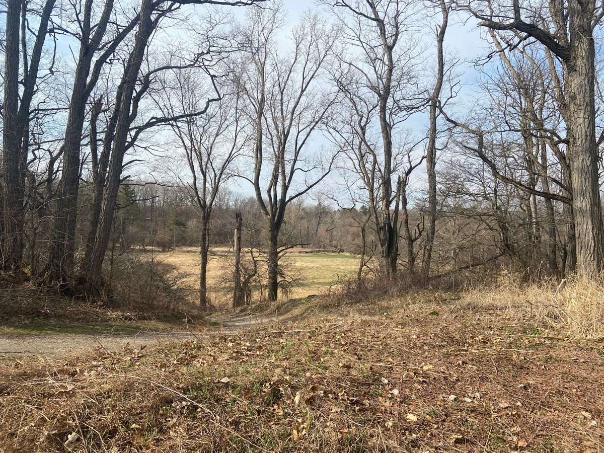 Hole 6 (Long Tee)