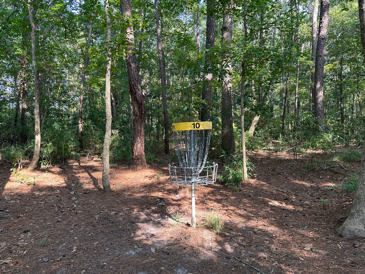 Hole 10 Basket
