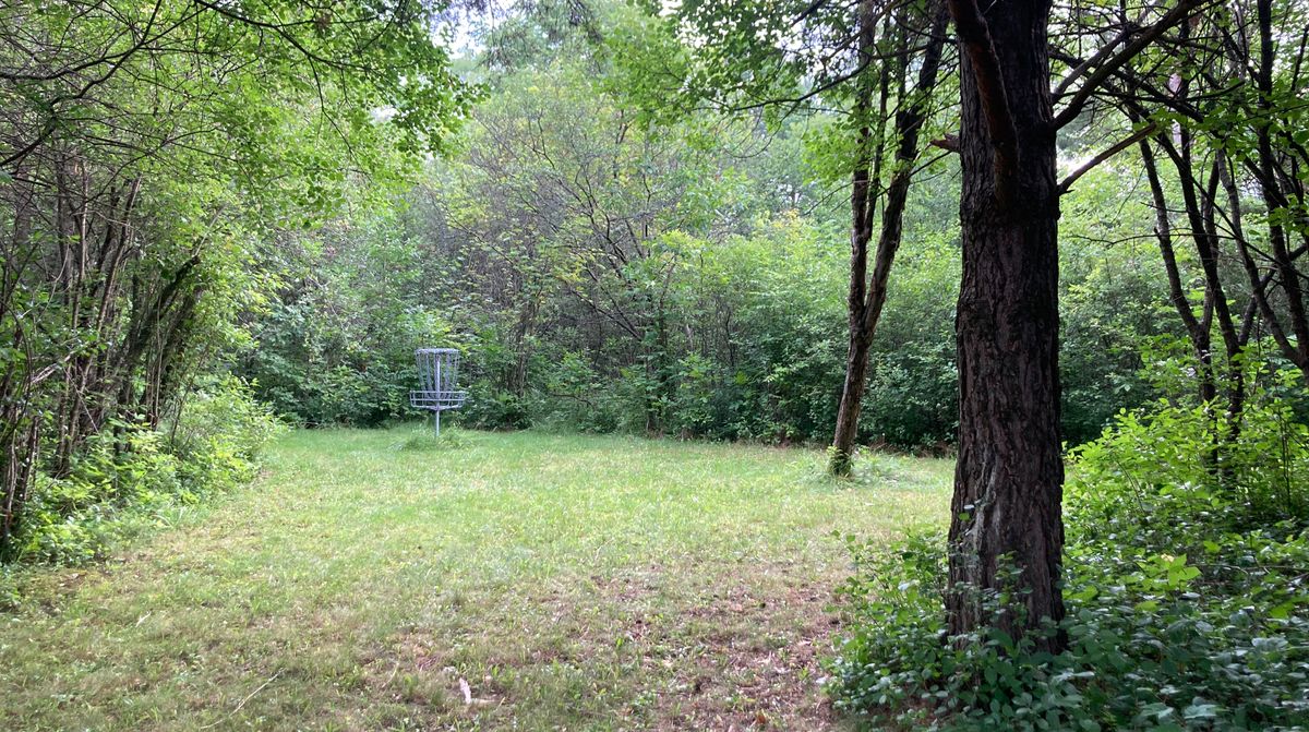 Hole 9 basket.