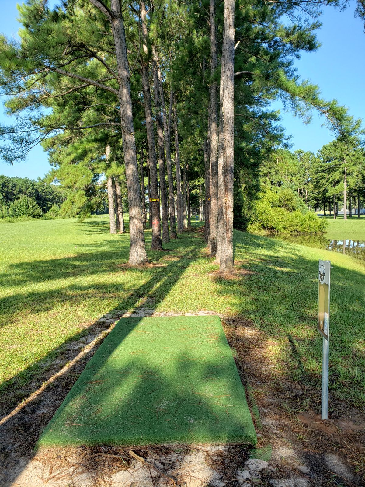 #2 Blue Tee-Pad and Fairway,  down the tunnel of trees, with a double MANDO!