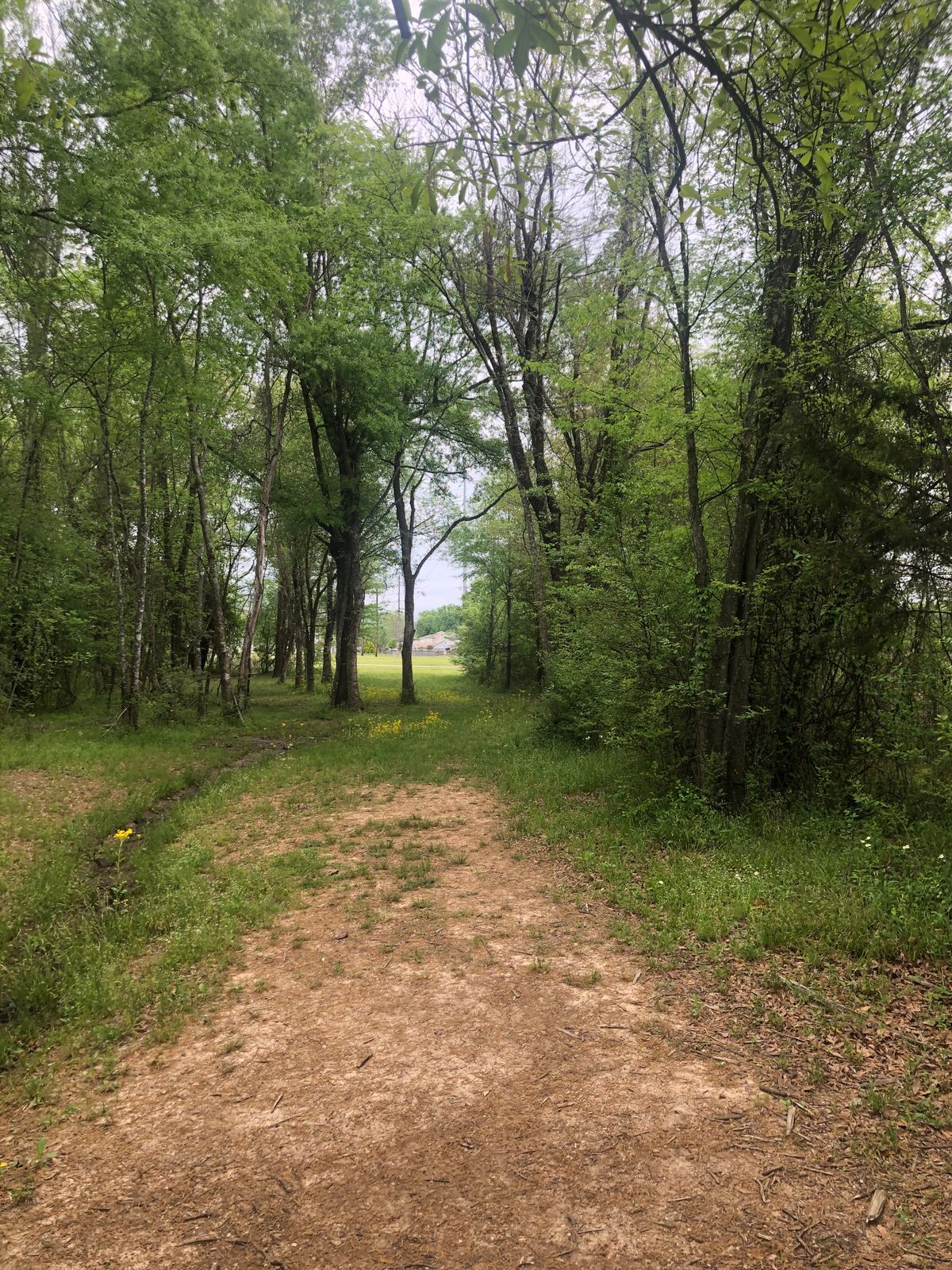 Hole 10