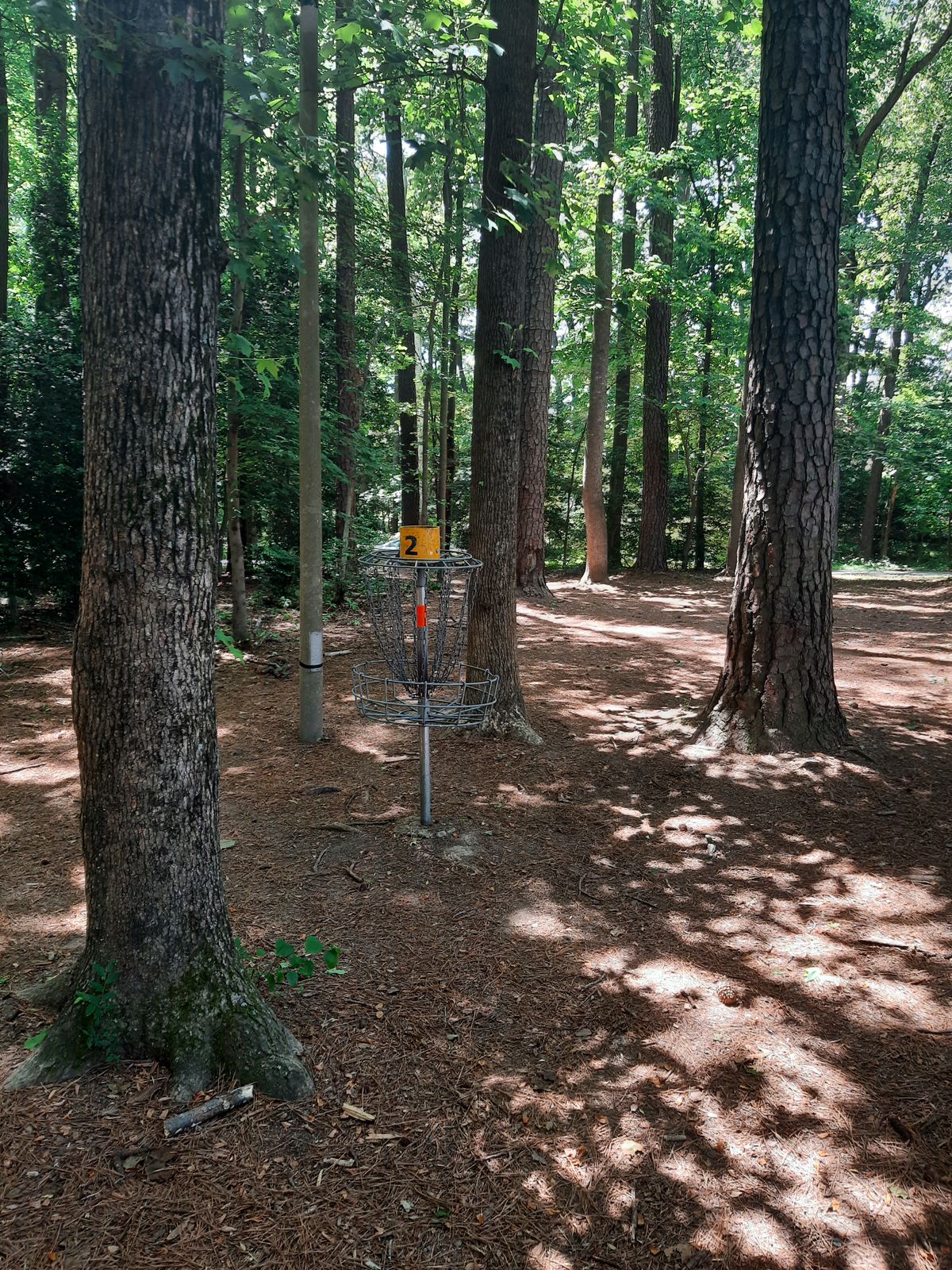 Hole 2 Basket