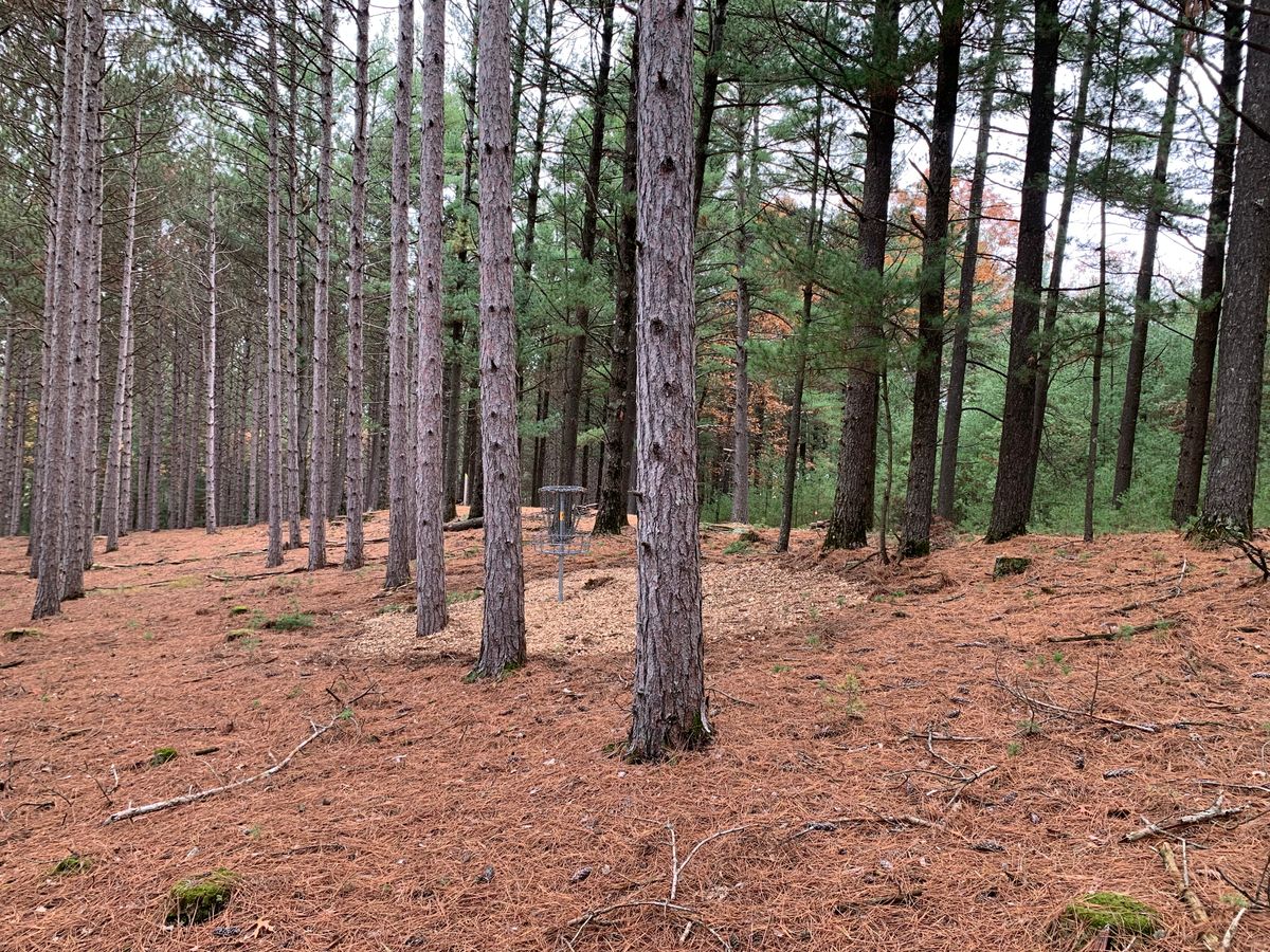 Hole 2 basket