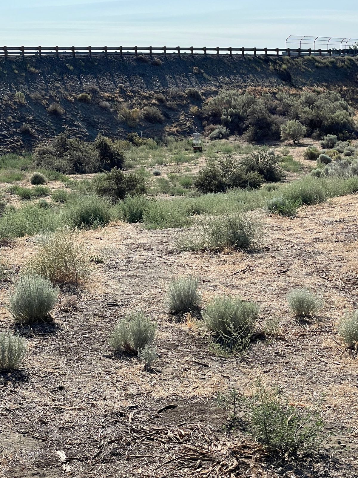 Hole 12
