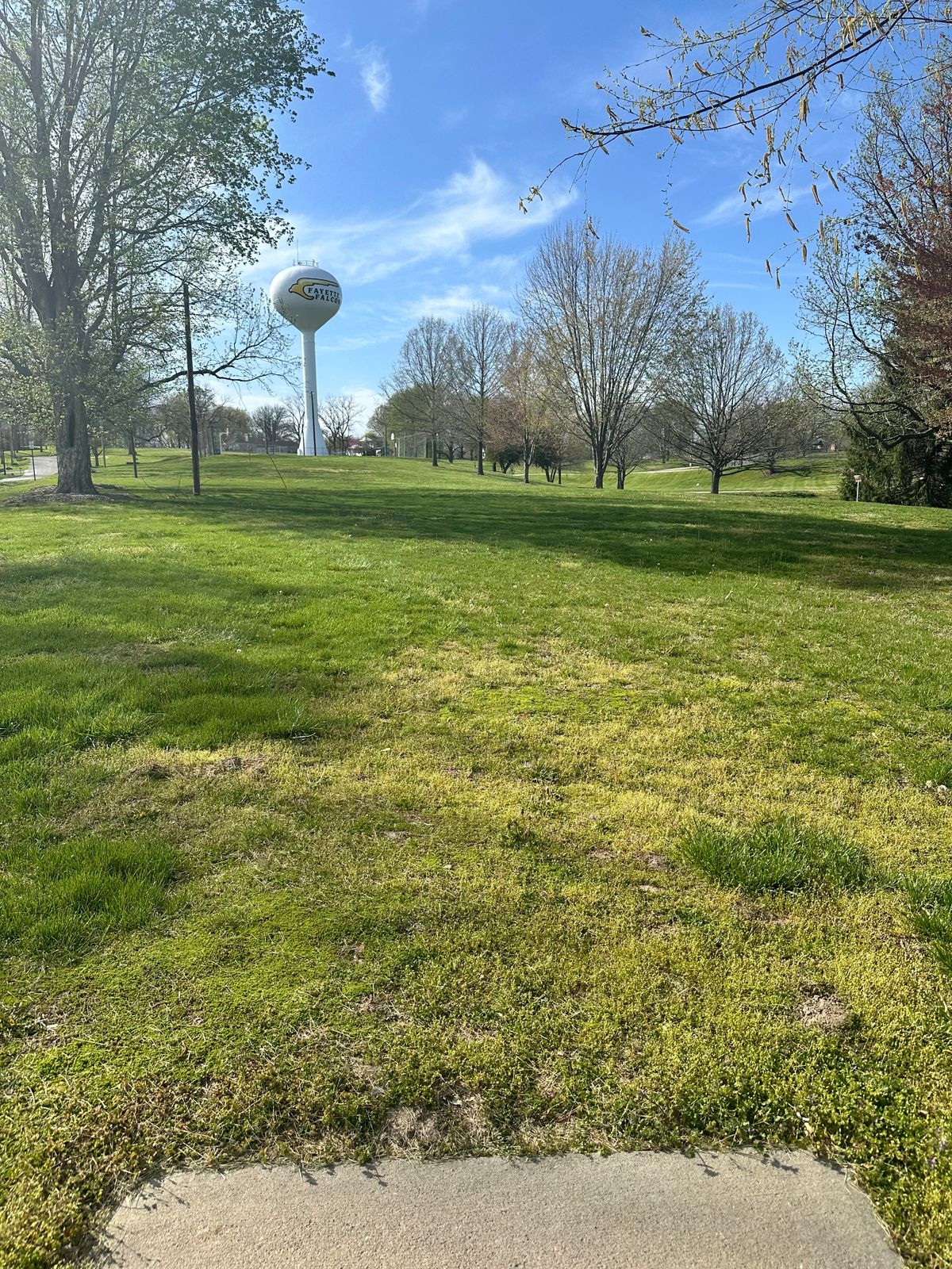 Hole 3 from tee pad