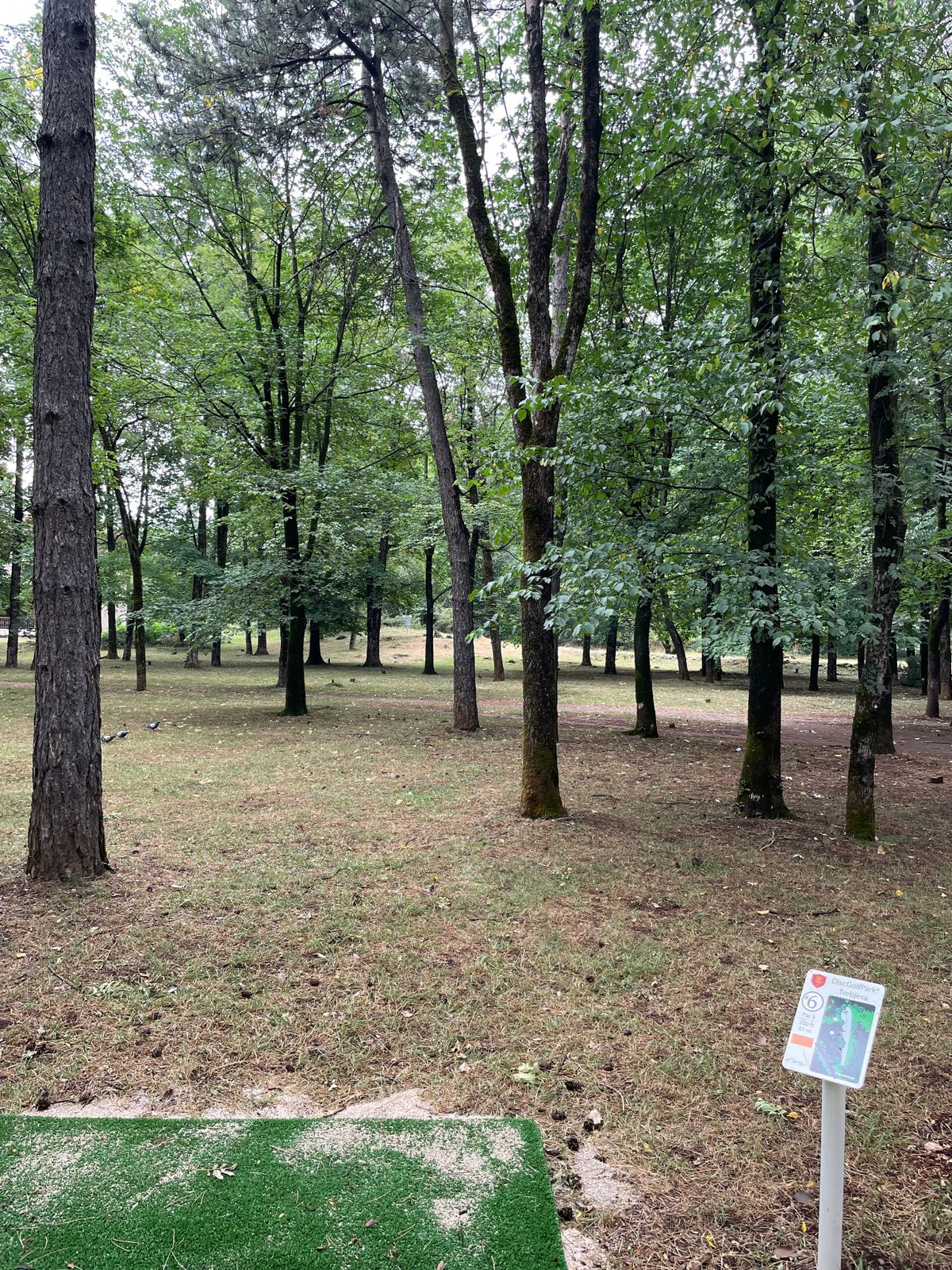 Hole 6 tee