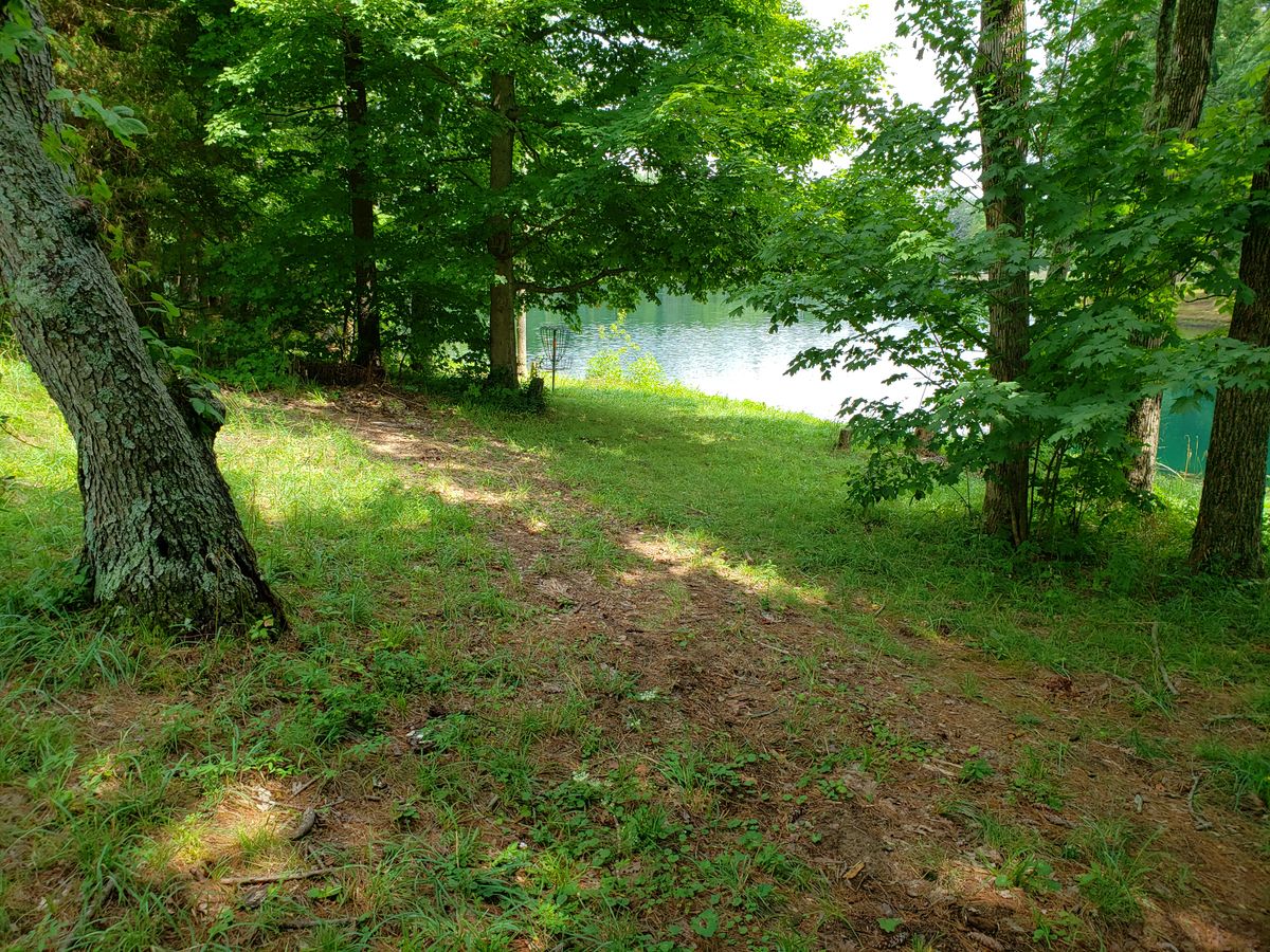 View toward #7 Pro Basket.