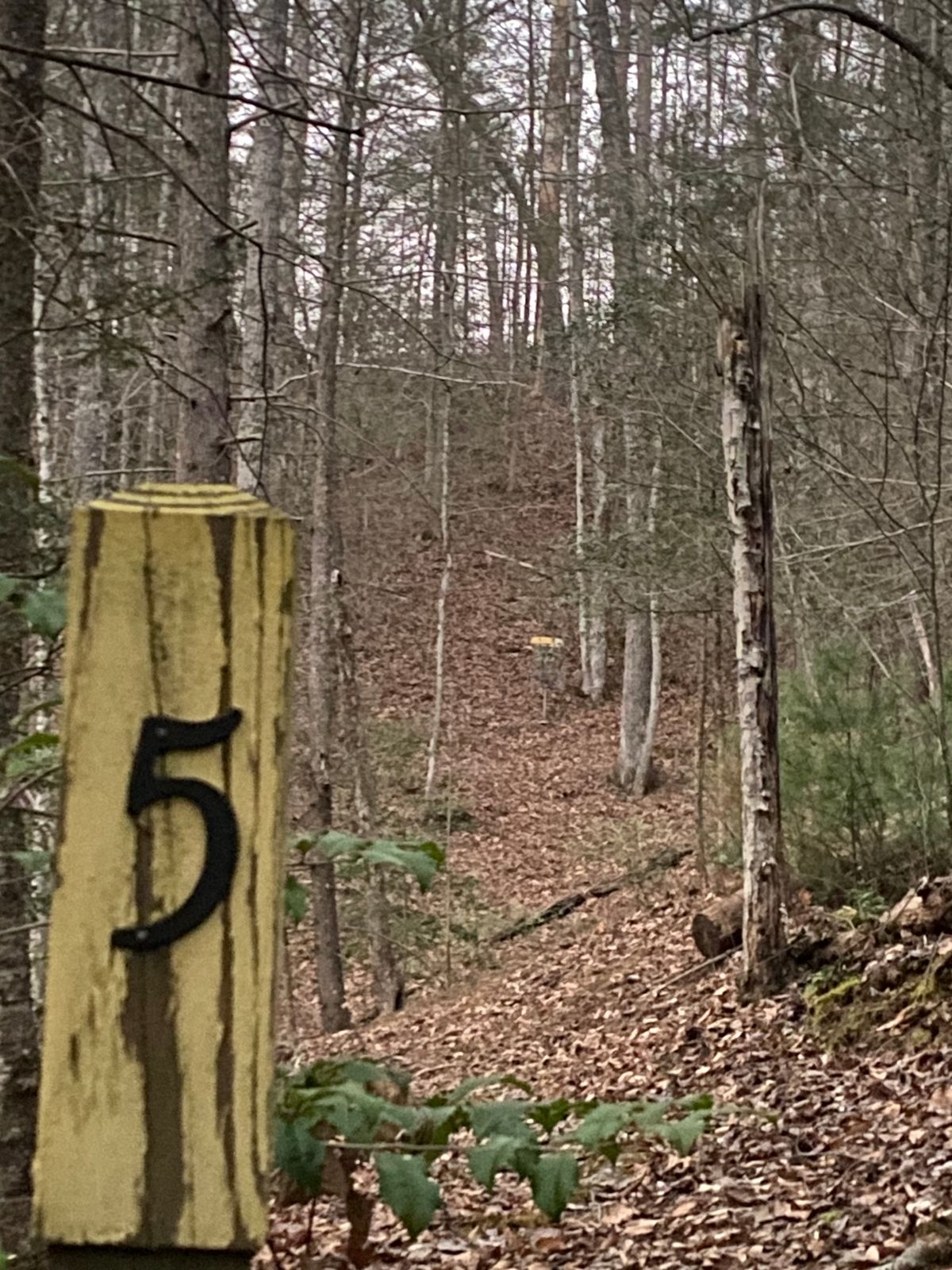 Hole 5