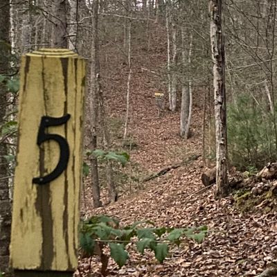 Hole 5