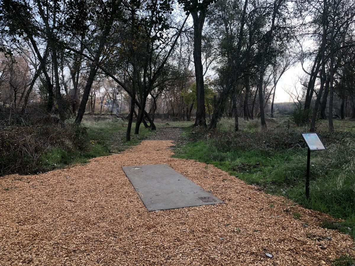 Tee pad #15