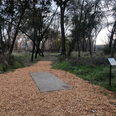 Tee pad #15