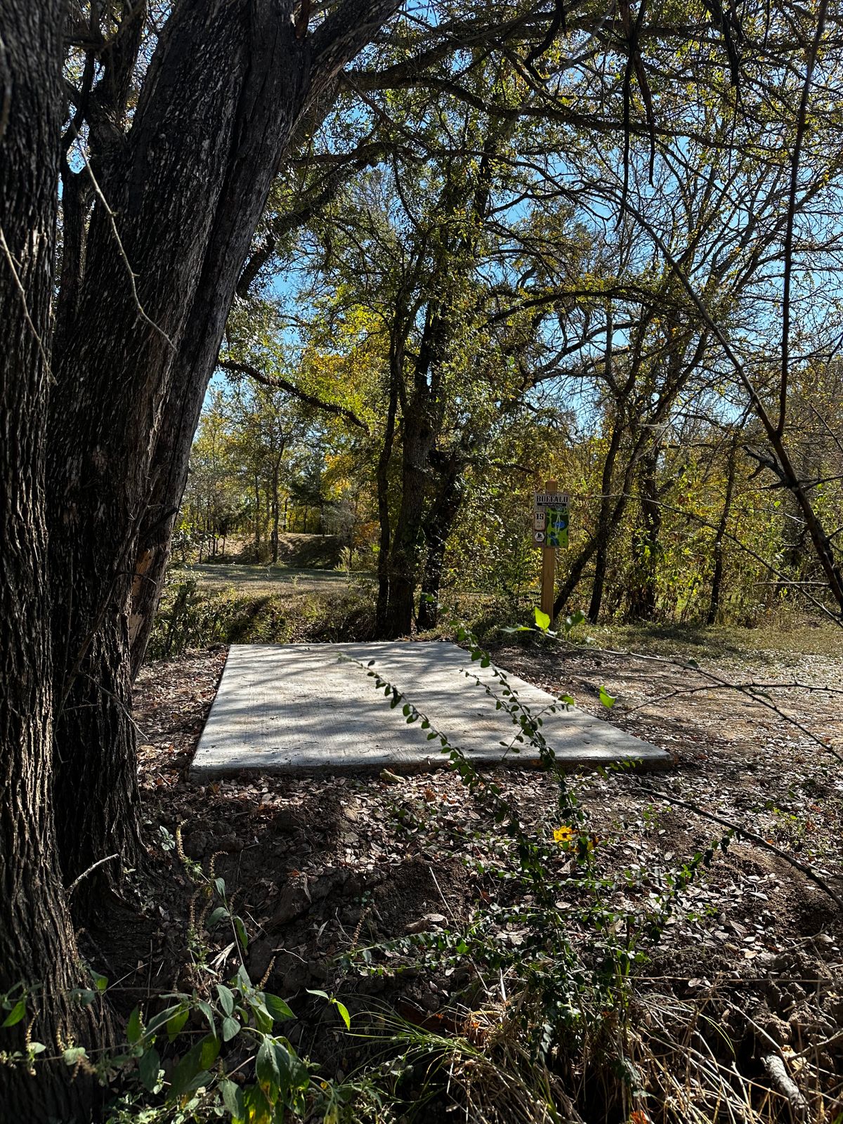 Hole 15