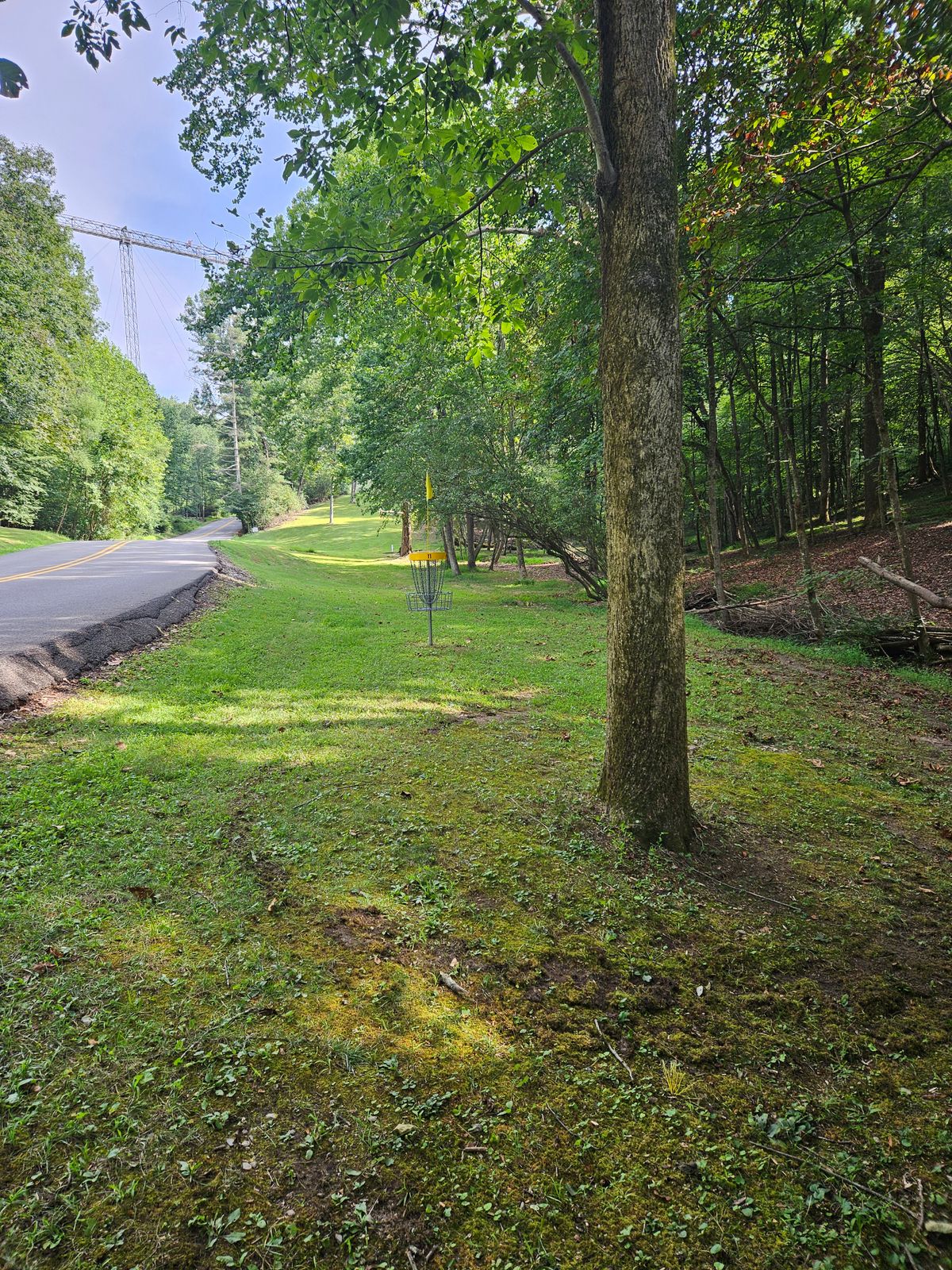 Hole 11 Short Basket. Note: On or Accross Road is OB.