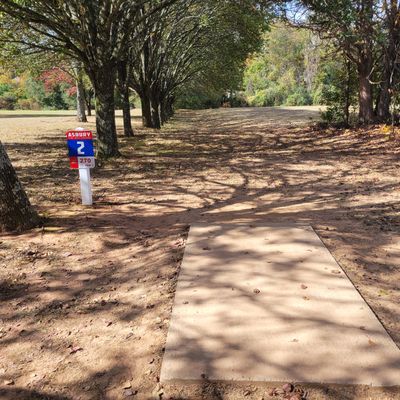 Hole 2 tee