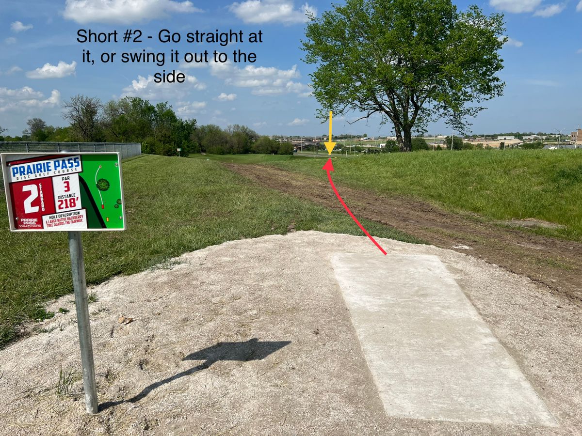 #2 - short