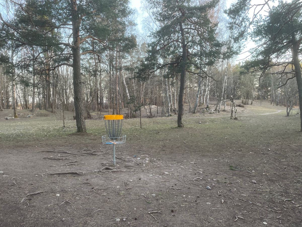 Korg hål #4