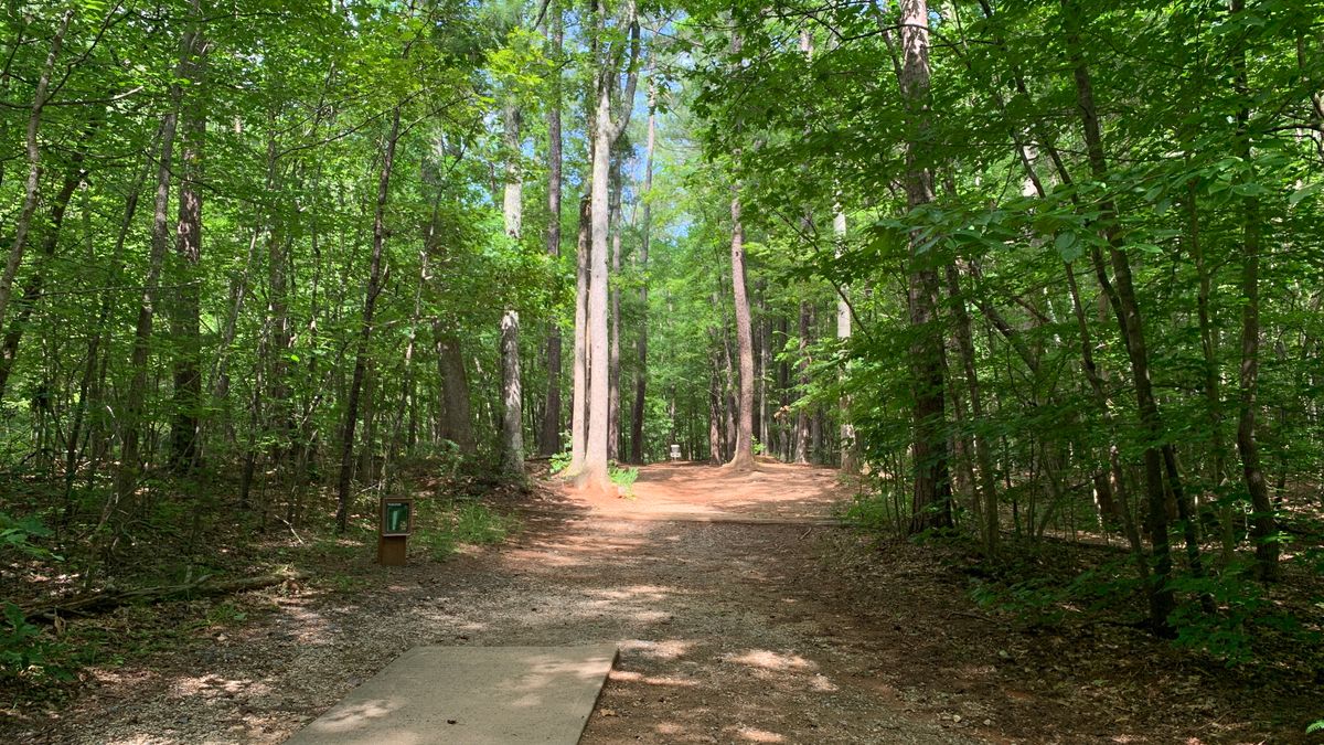 Hole 8