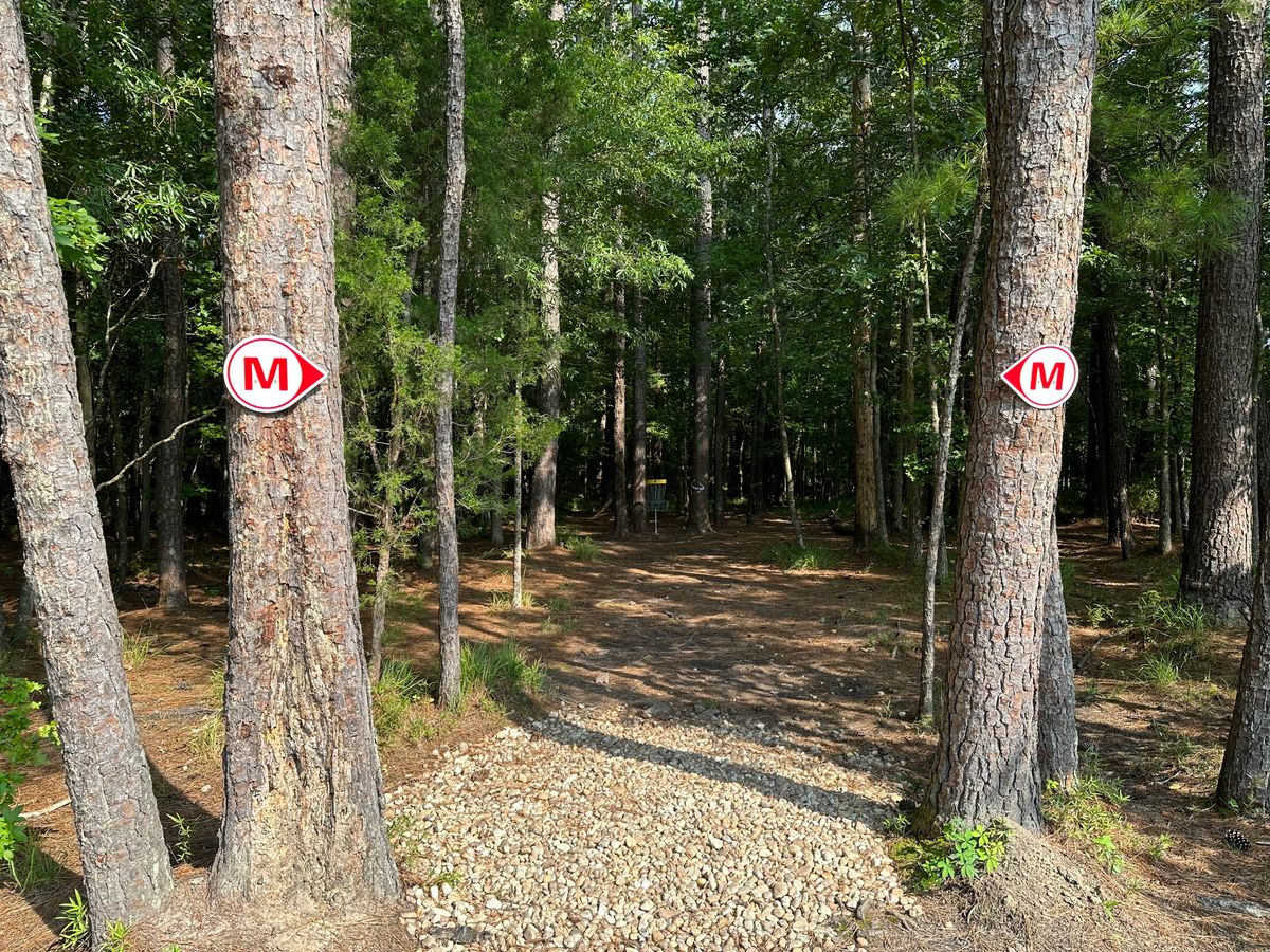 Hole 8 Approach