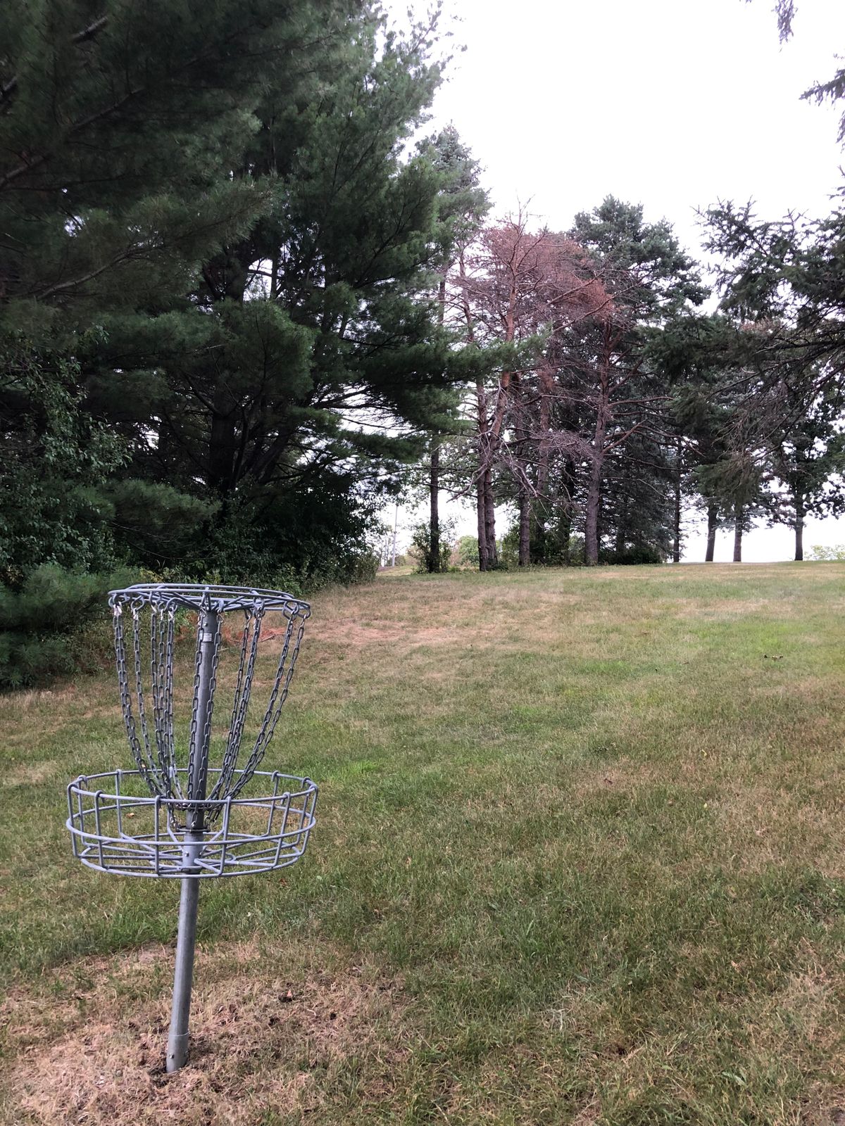 Green of Hole 11 looking back towards tee