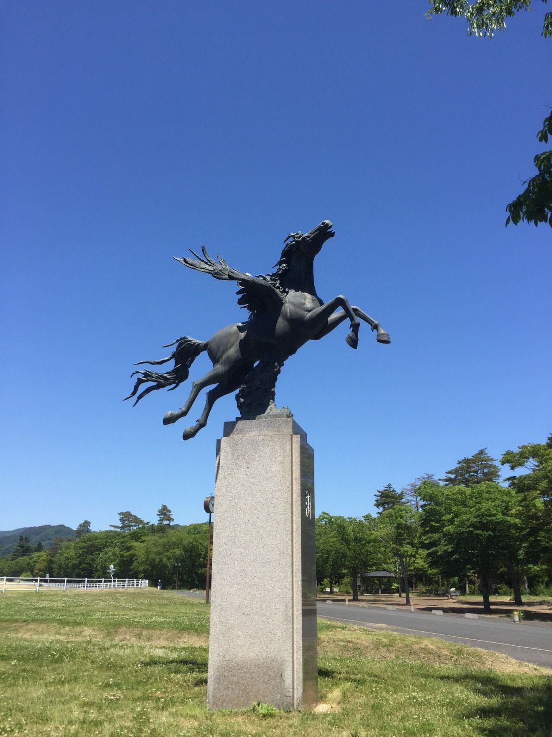 Bajikoen means horse racing and training facility.