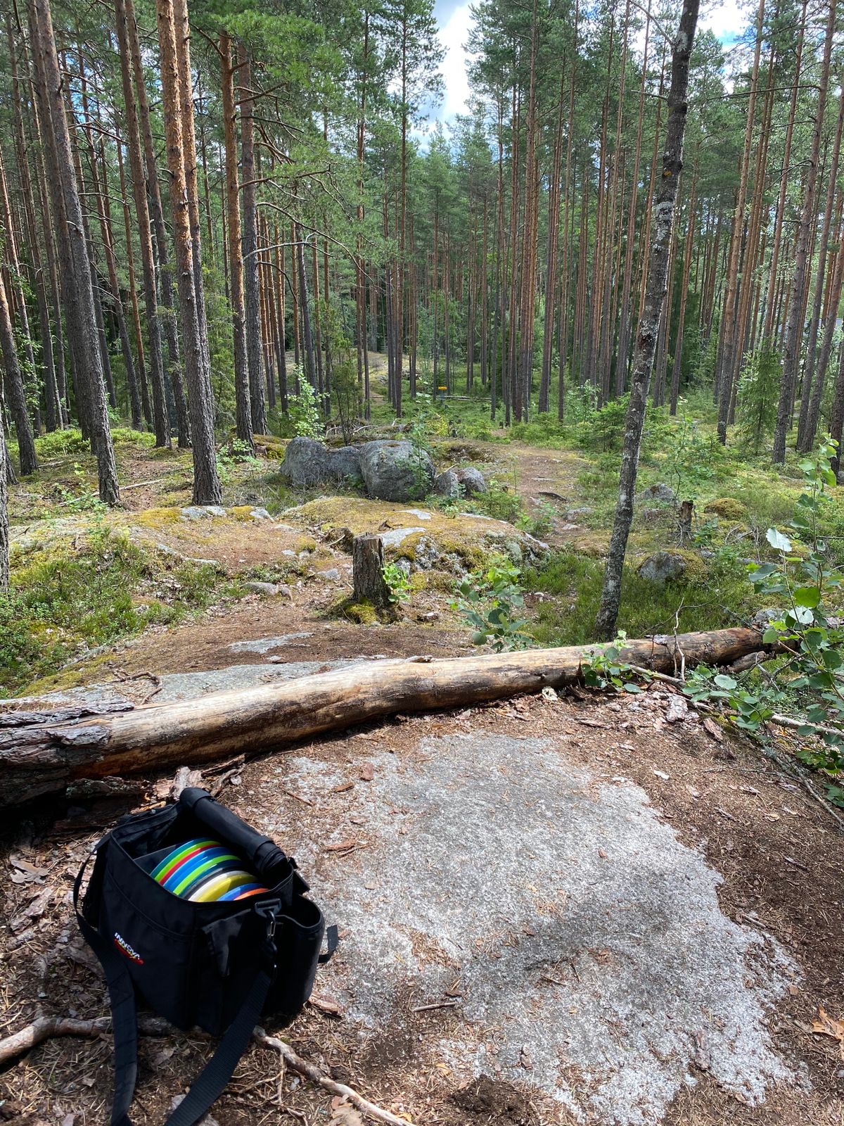 Väylä 7