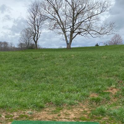 A view of the open fairway to the basket nestled inside the base of the tree trunk on the back 9