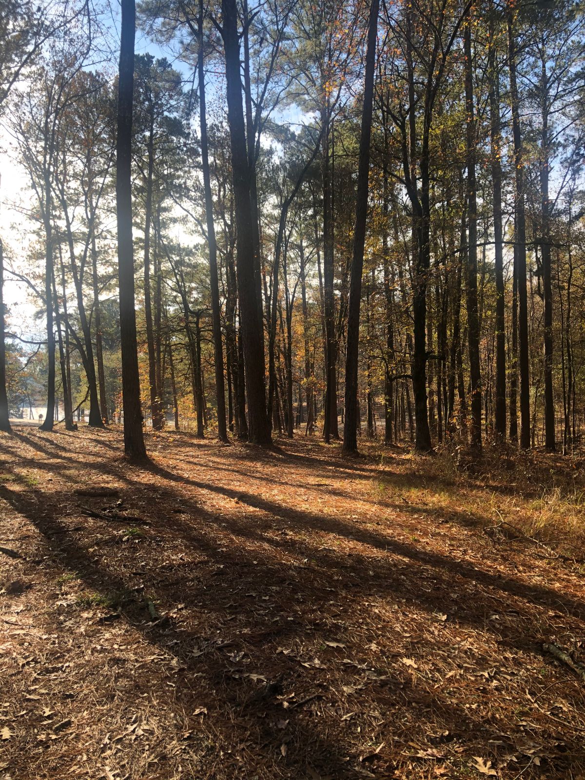 Hole 8
