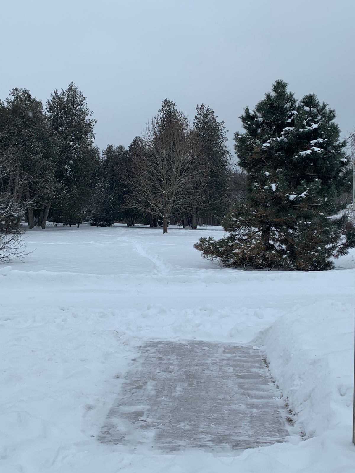 Hole 1 Riverview Park & Zoo