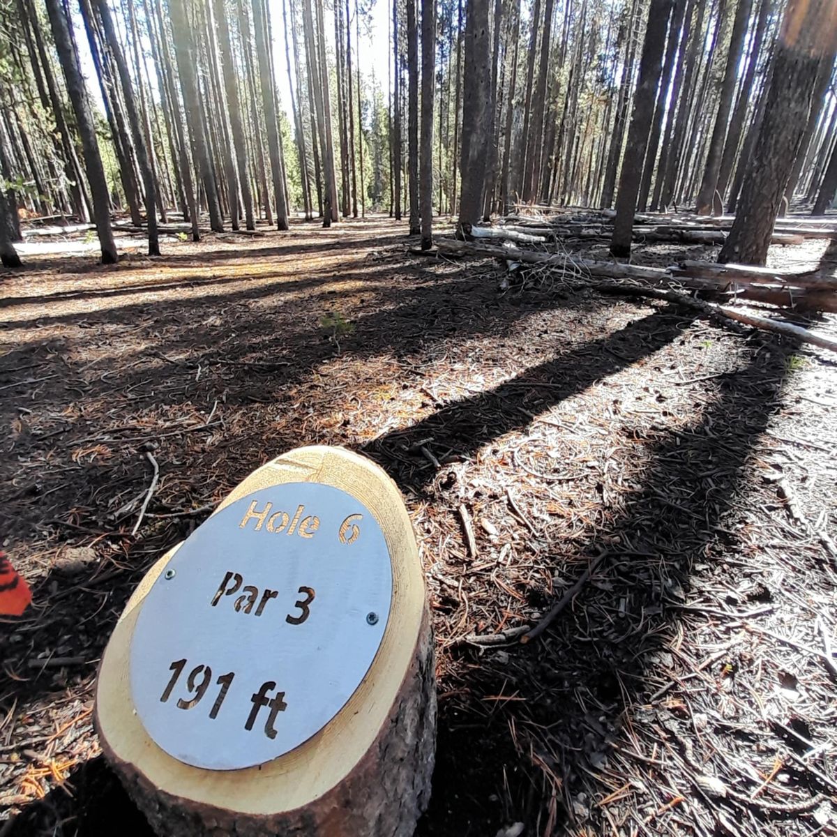 Hole 6