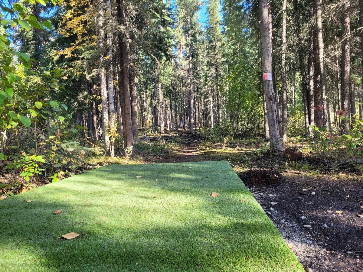 New tee pads installed in September 2022