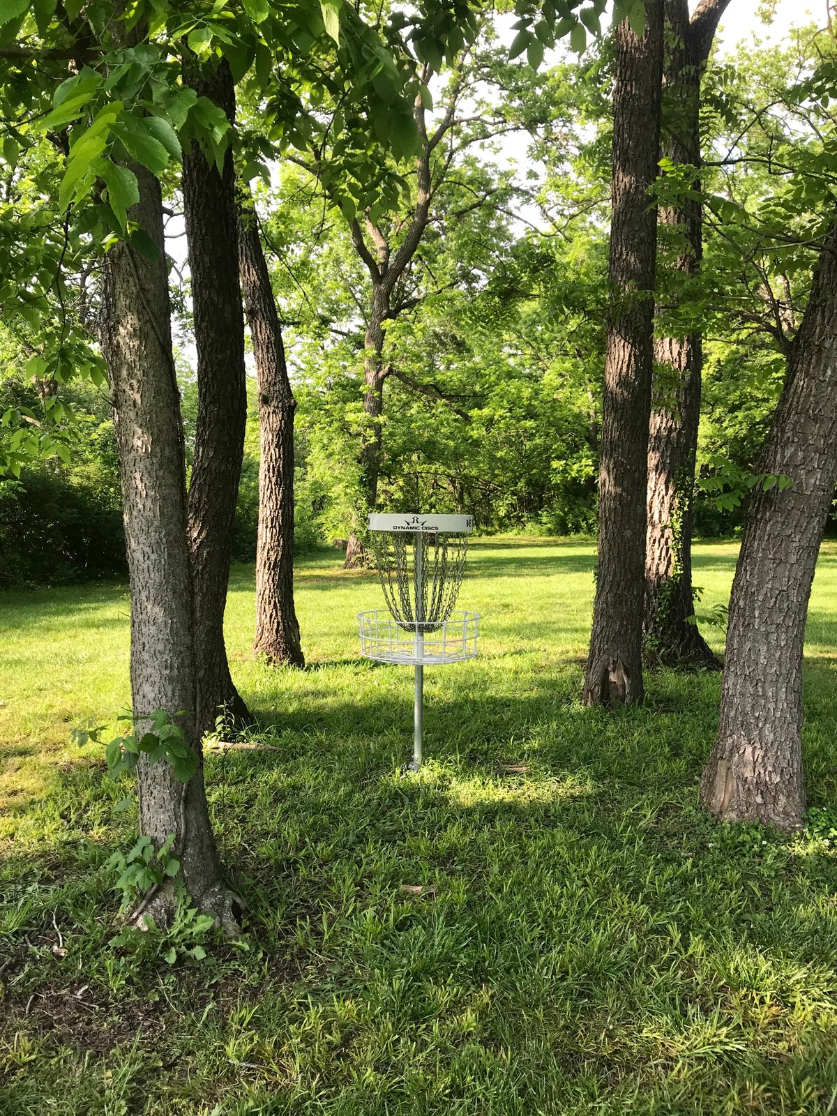 Hole 3 Basket to Tee