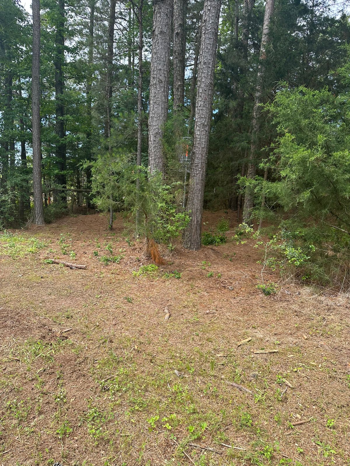 Hole 10 hanging basket
