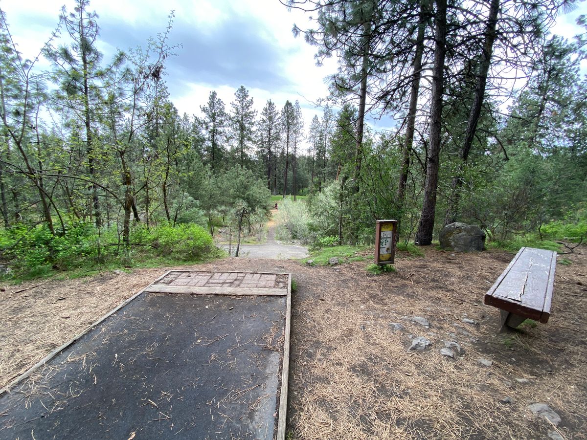Hole 5 with a nice downhill drive.