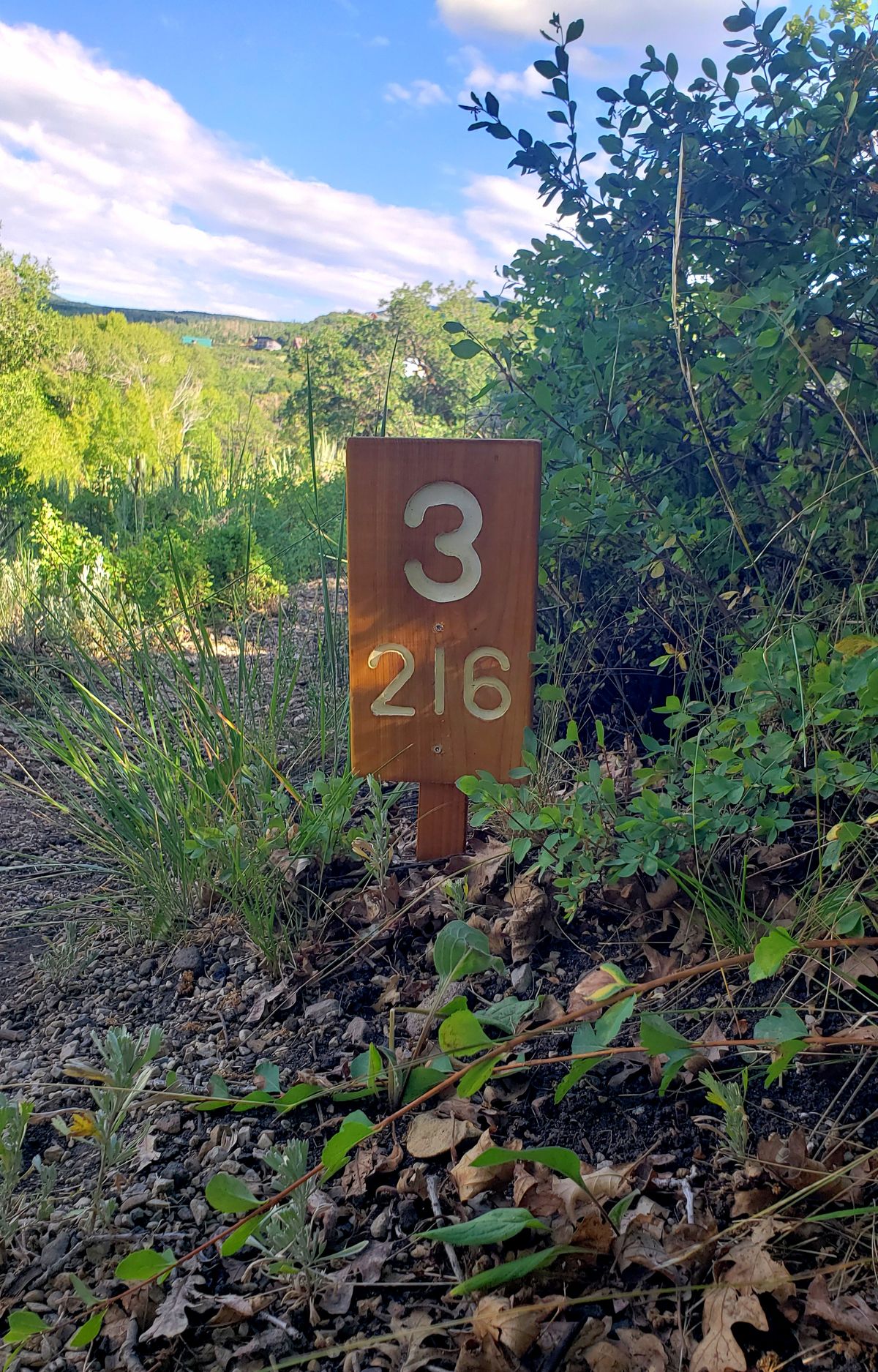 Each tee has a sign with the distance in feet.