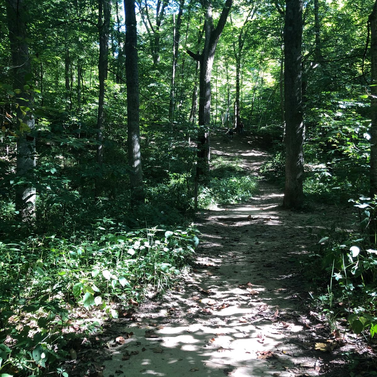 Hole 8 long tee