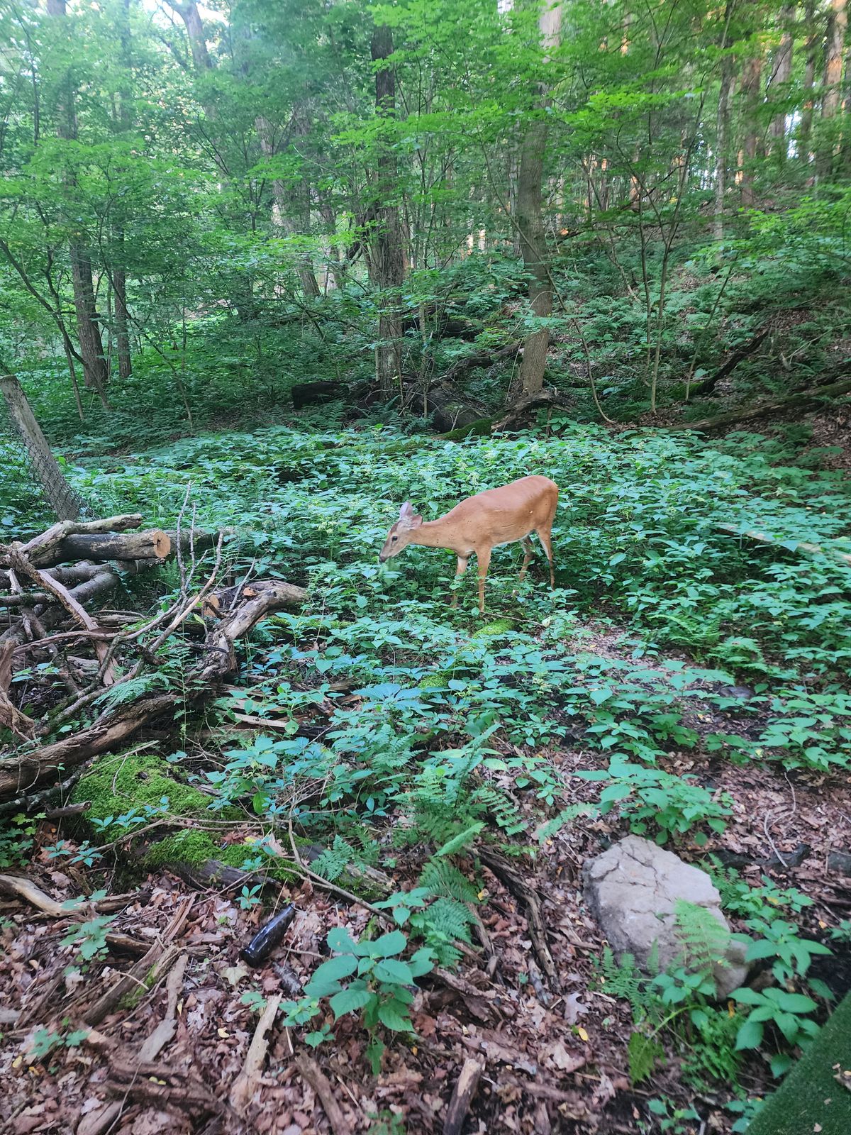 10 feet from hole 17 tee pad